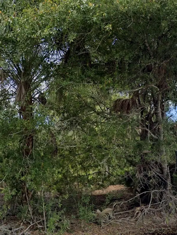 3439 Tiffiny Street, PUNTA GORDA, FL 33980