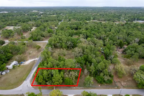 16021 Forzando Avenue, BROOKSVILLE, FL 34604