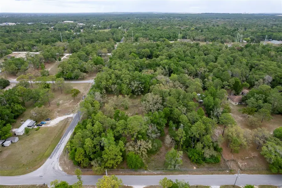 16021 Forzando Avenue, Brooksville, FL 34604 - #2