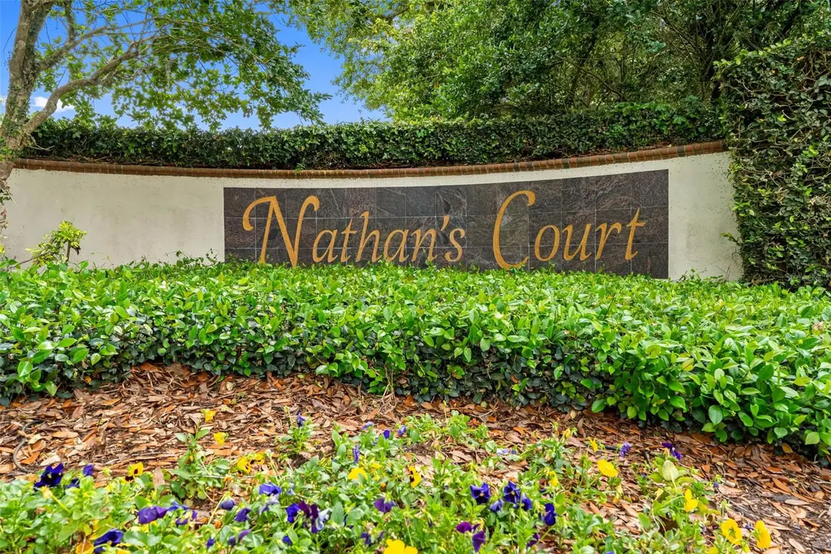 17648 Nathans Drive, Tampa, FL 33647 - #1