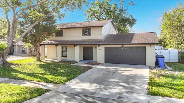 4012 Braesgate Lane, TAMPA, FL 33624