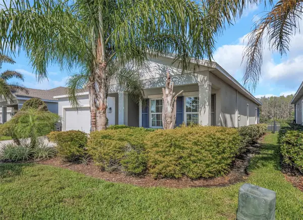2427 Portico Street, ODESSA, FL 33556