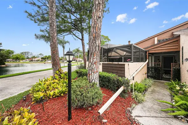 4805 Umber Court, TAMPA, FL 33624