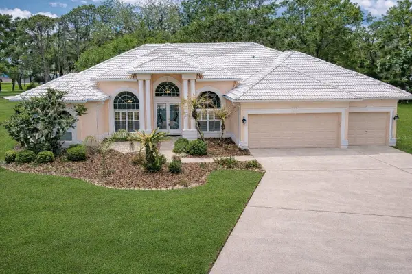 5201 Laurel Pointe Drive, VALRICO, FL 33594