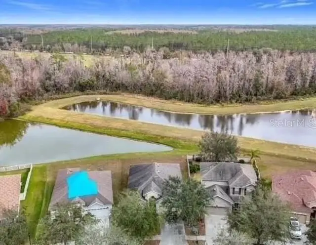 10918 Ancient Futures Drive, Tampa, FL 33647 - #1