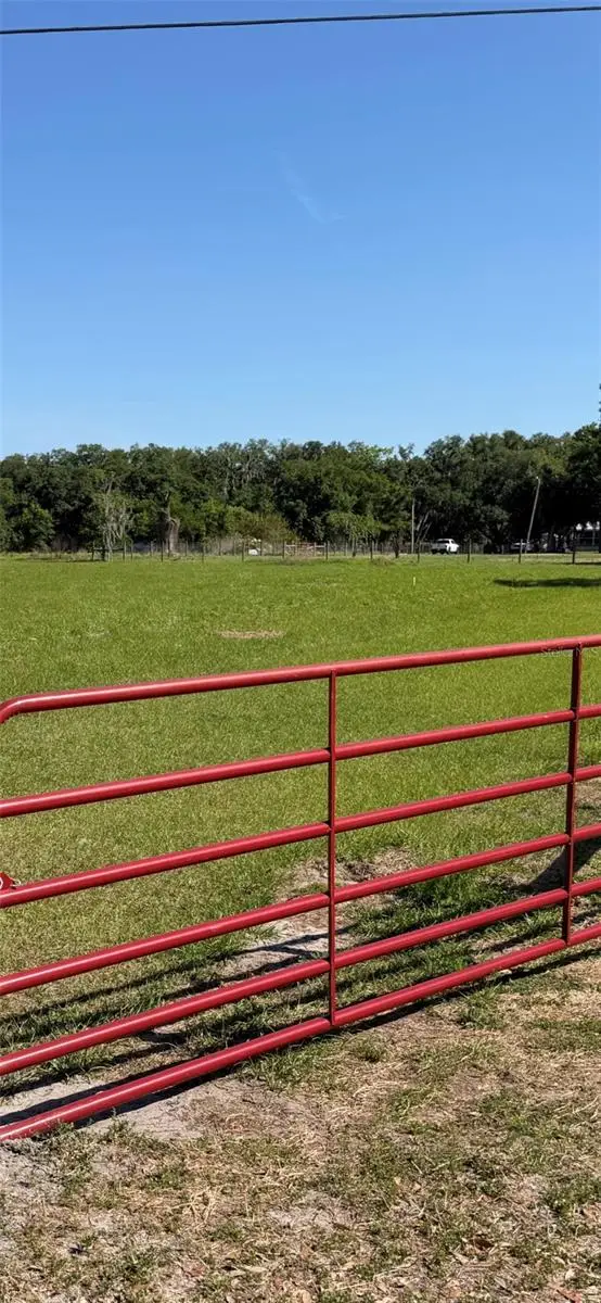 Sydney Road, Dover, FL 33527 - #1