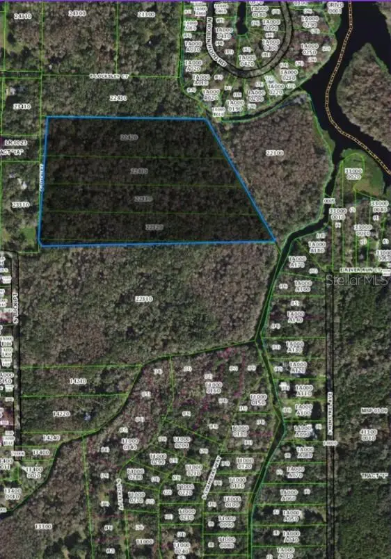 217 S Tuck Point, Inverness, FL 34450 - #3
