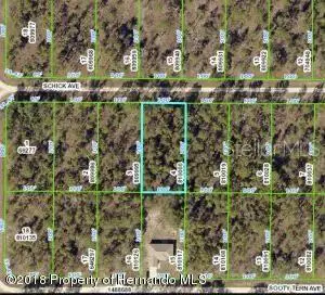 13352 Schick Avenue, Brooksville, FL 34614 - #1