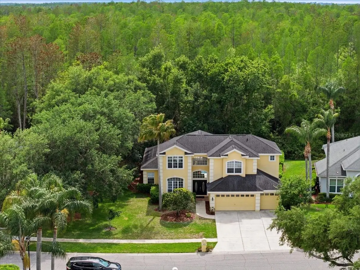 19106 Saint Laurent Drive, Lutz, FL 33558 - #1