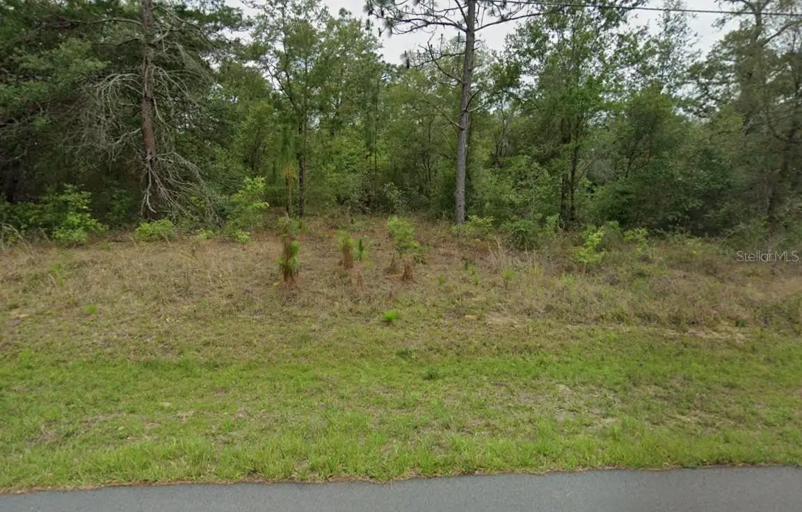 3054 W Hamlet Place, Citrus Springs, FL 34433 - #1