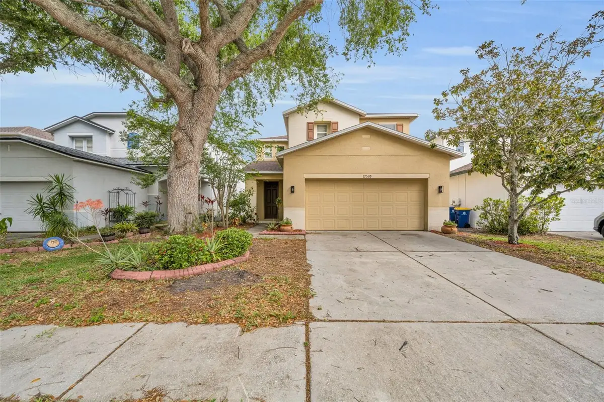17539 Balmaha Drive, Land O Lakes, FL 34638 - #1