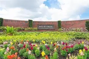 10133 Caraway Spice Avenue, Riverview, FL 33578 - #2