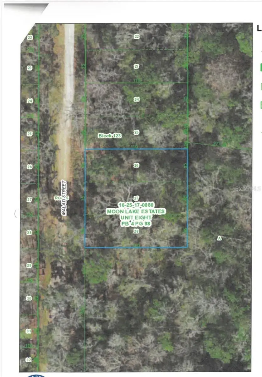 Malati Street, New Port Richey, FL 34654 - #1