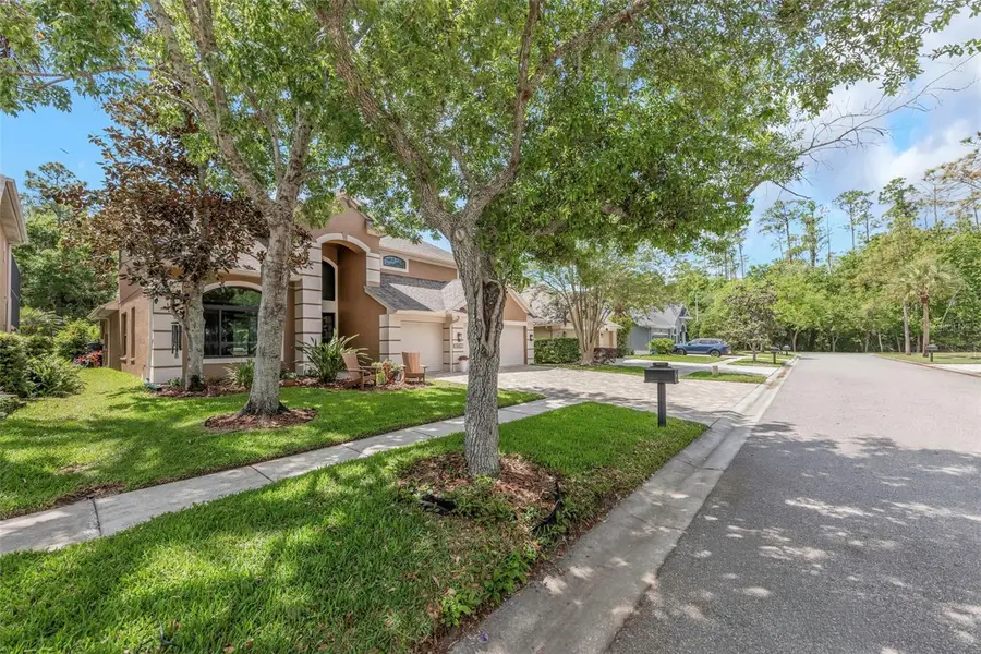 10422 Greendale Drive, Tampa, FL 33626 - #3