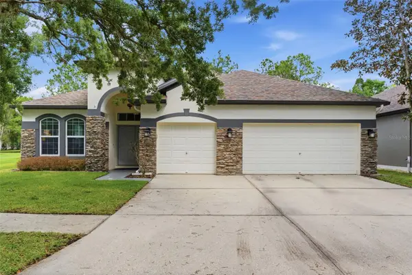 5832 Heronview Crescent Drive, LITHIA, FL 33547
