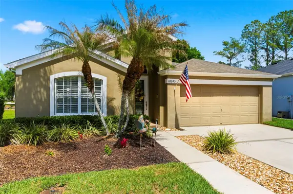 26645 Sea Hero Circle, WESLEY CHAPEL, FL 33544