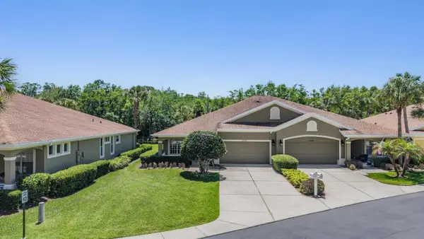 12752 Aston Creek Drive, TAMPA, FL 33626