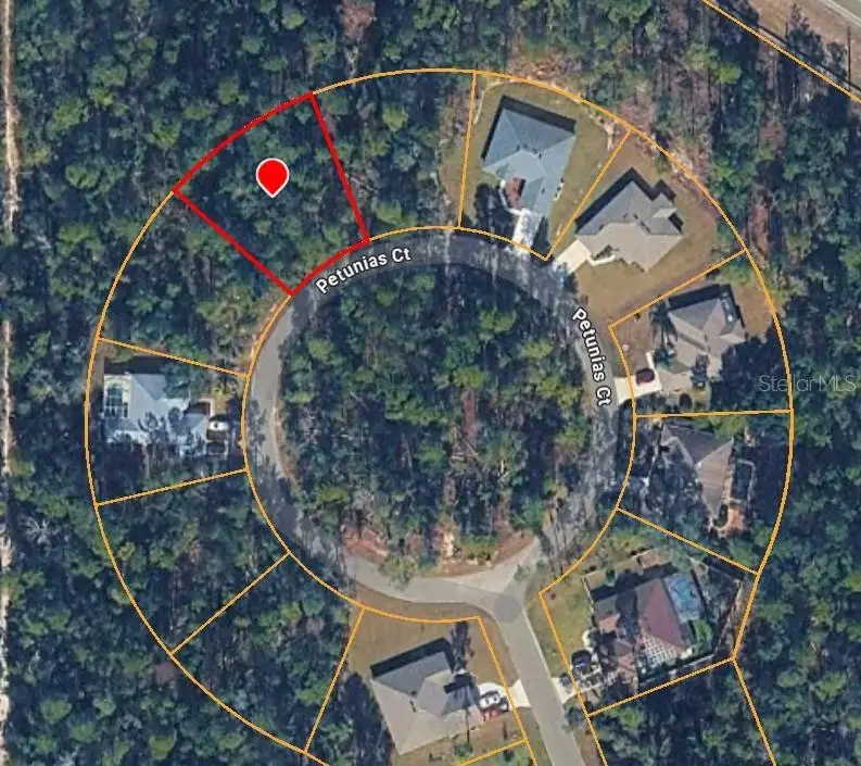 15 Petunias Court, Homosassa, FL 34446 - #1