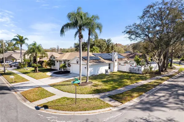 15101 Redvale Drive, TAMPA, FL 33625