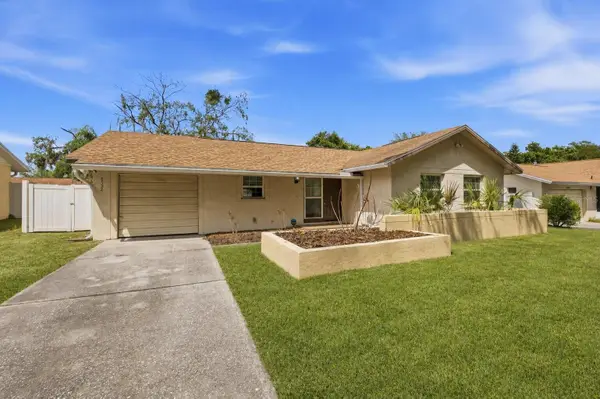 8522 Caladesi Island Drive, TEMPLE TERRACE, FL 33637