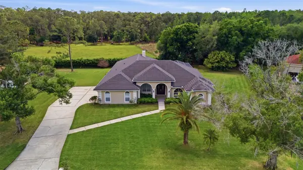 18629 Avenue Capri, LUTZ, FL 33558