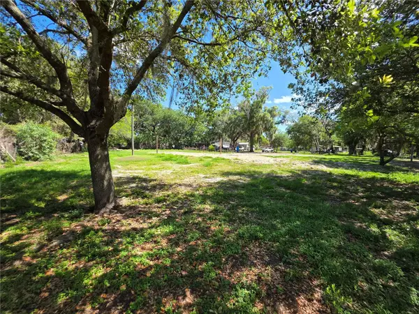 7229 James Stanaland Road, PLANT CITY, FL 33567