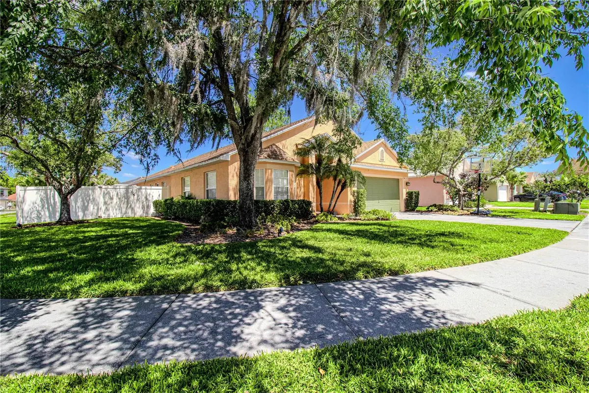 509 Cypress View Drive, Oldsmar, FL 34677 - #1