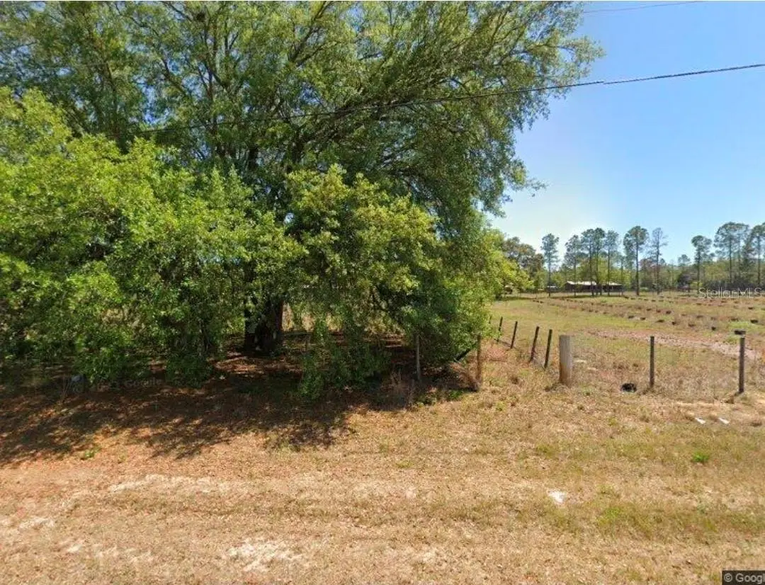 6787 S Sunnyview Point, Homosassa, FL 34446 - #1