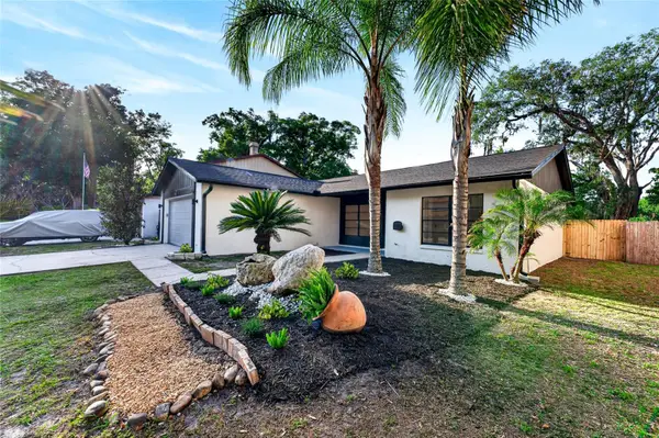 14841 Oak Vine Drive, LUTZ, FL 33559
