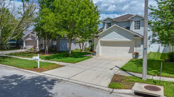 10031 Creek Bluff Drive, RIVERVIEW, FL 33578