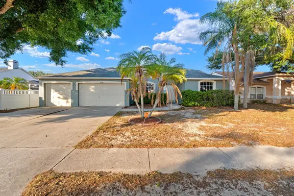 9808 Cristina Drive, RIVERVIEW, FL 33569