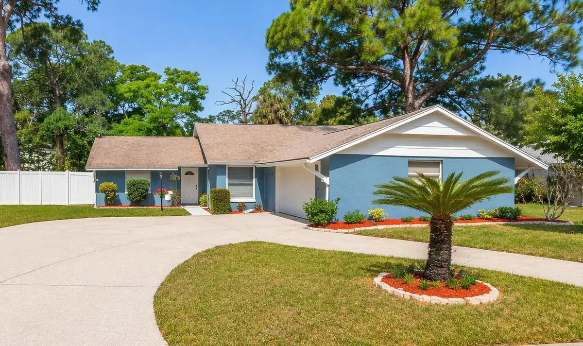 823 Riverside Drive, Tarpon Springs, FL 34689 - #1