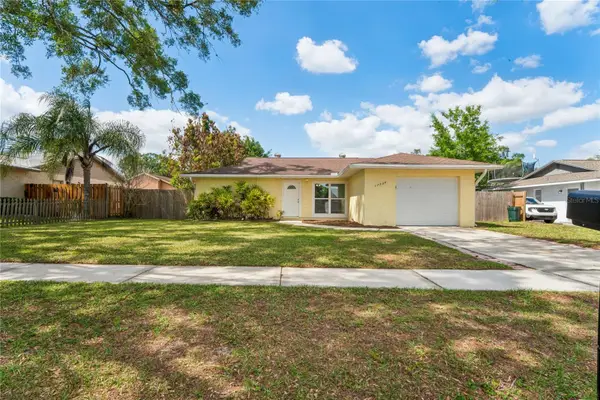 17734 Rivendel Road, LUTZ, FL 33549