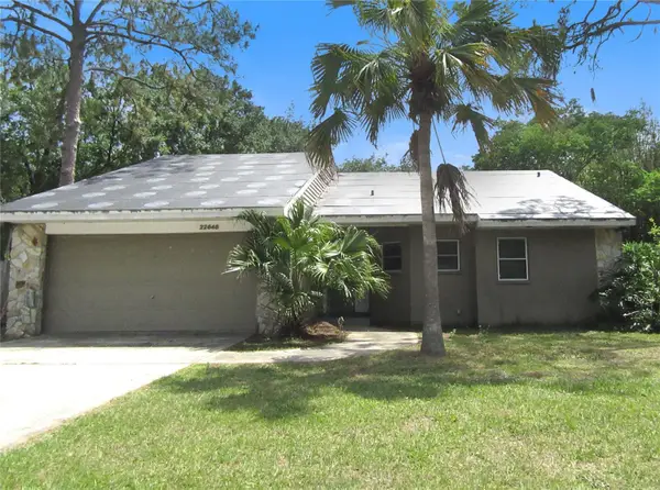 22646 Weeks Boulevard, LAND O LAKES, FL 34639