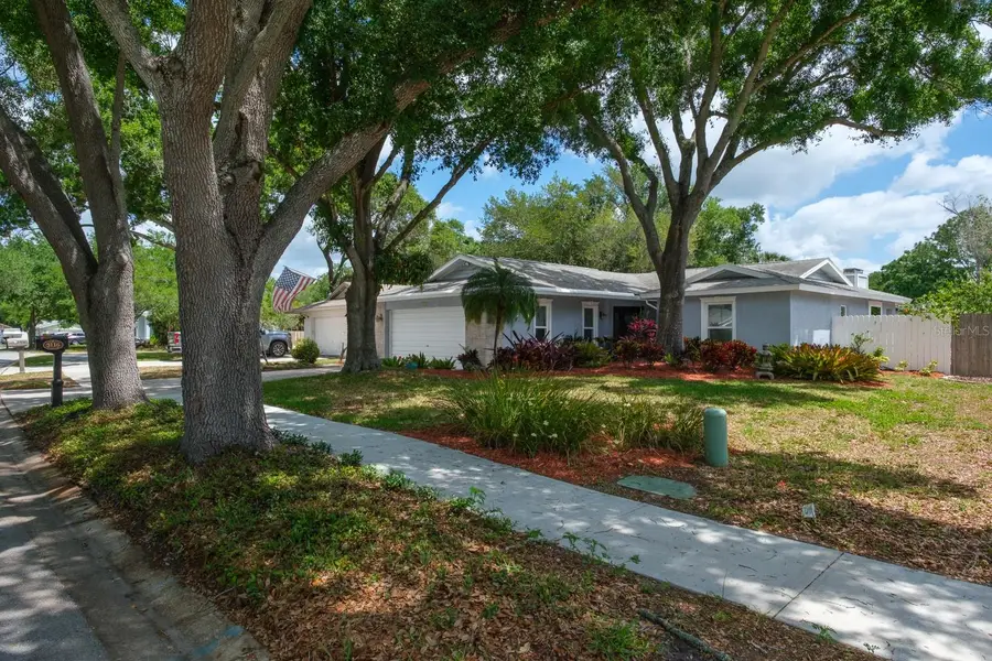 3116 Coventry Lane, Safety Harbor, FL 34695 - #2