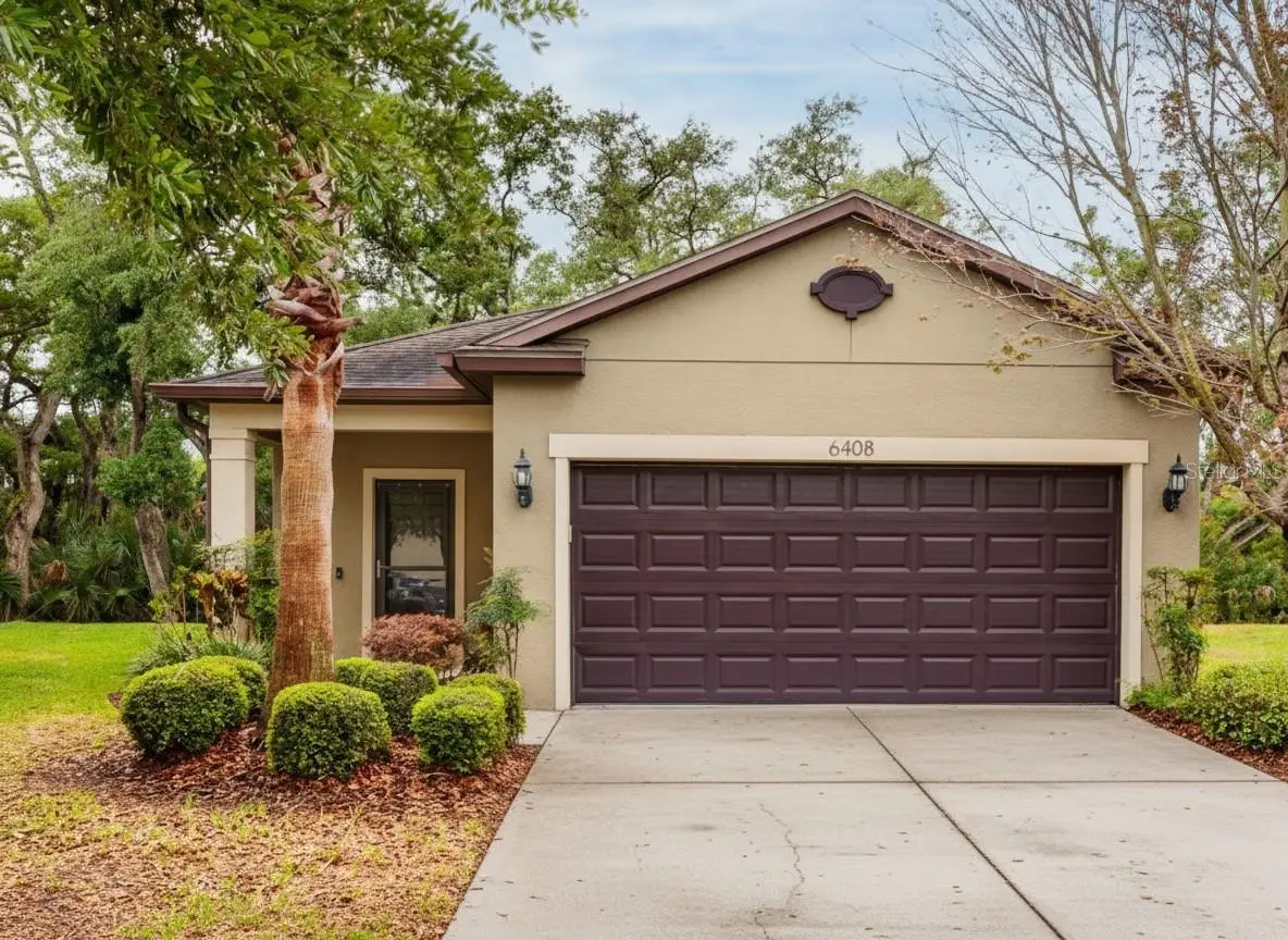 6408 Yellow Buckeye Drive, Riverview, FL 33578 - #1
