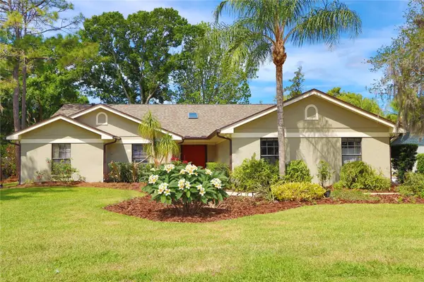 19814 Deer Hollow Lane, LUTZ, FL 33548