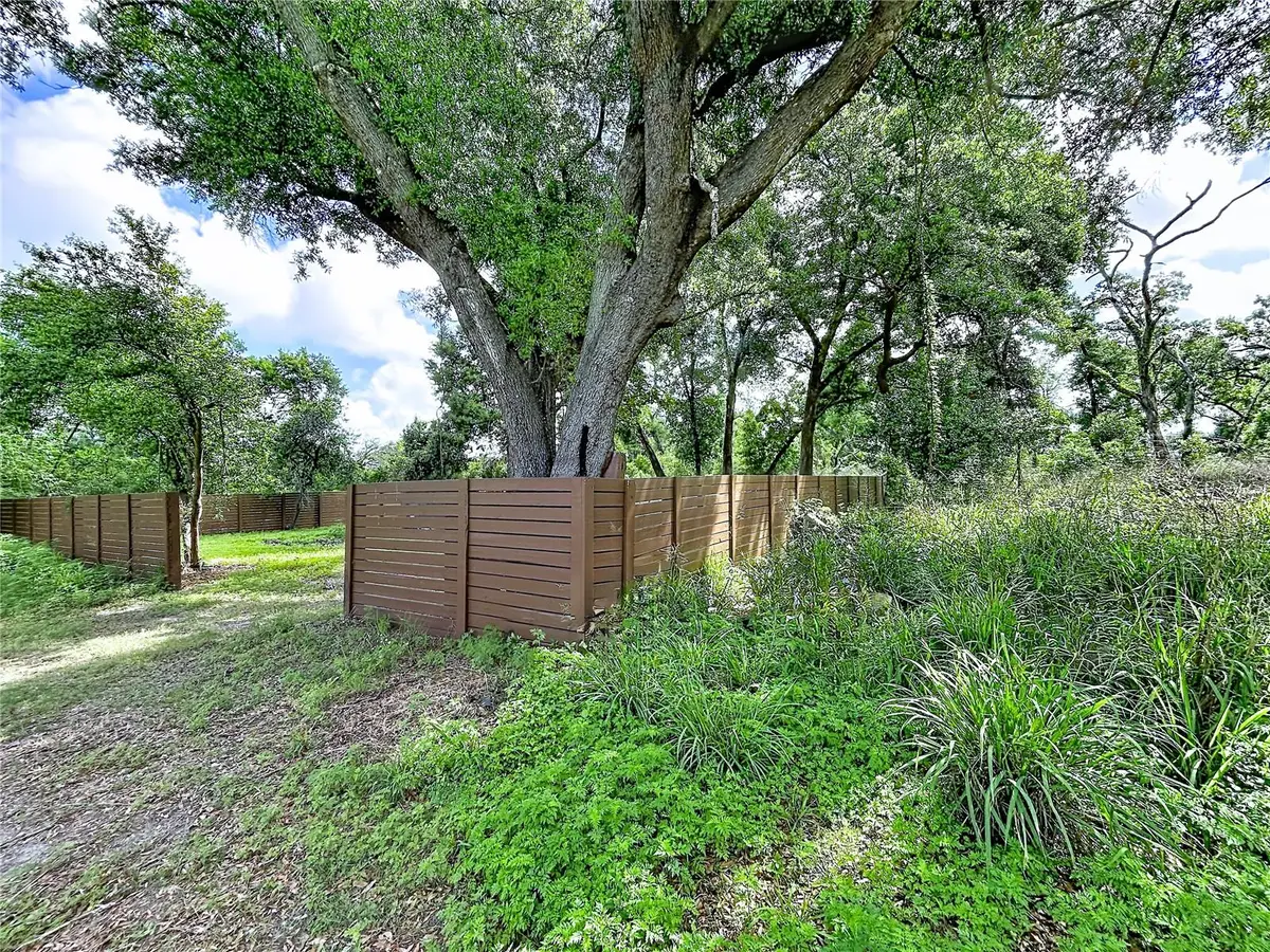 1029 Robson Avenue, Seffner, FL 33584 - #1