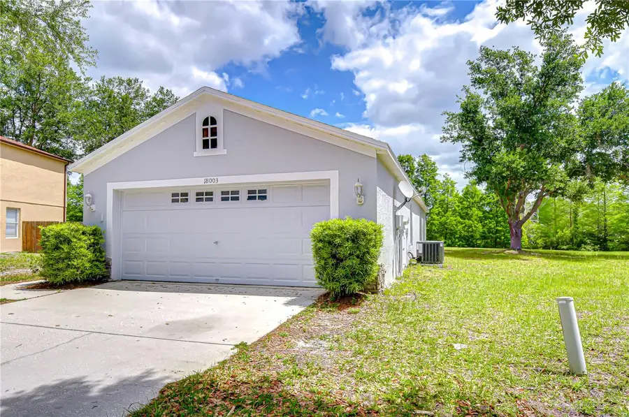 18003 Birdwater Drive, Tampa, FL 33647 - #2