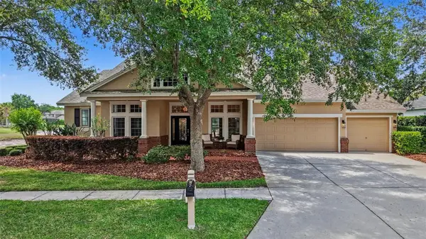 5413 Garden Arbor Drive, LUTZ, FL 33558