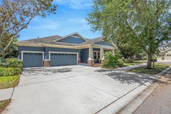 5201 Sparrowglen Place, LITHIA, FL 33547