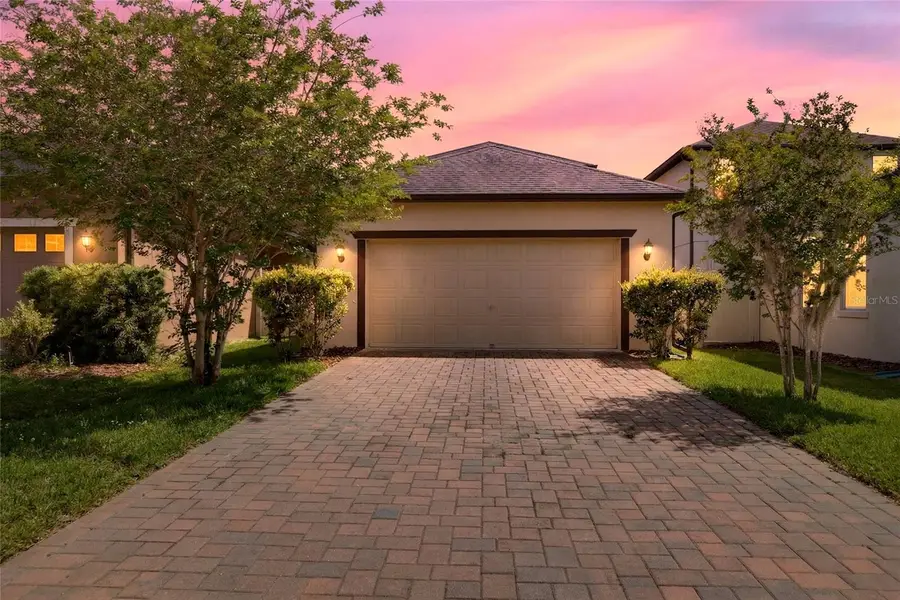 28622 Tranquil Lake Circle, Wesley Chapel, FL 33543 - #2