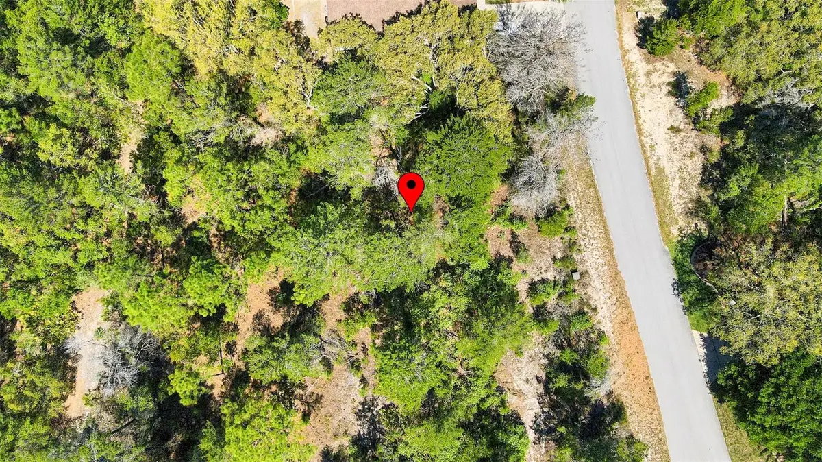 14 Heuchera Court E, Homosassa, FL 34446 - #1