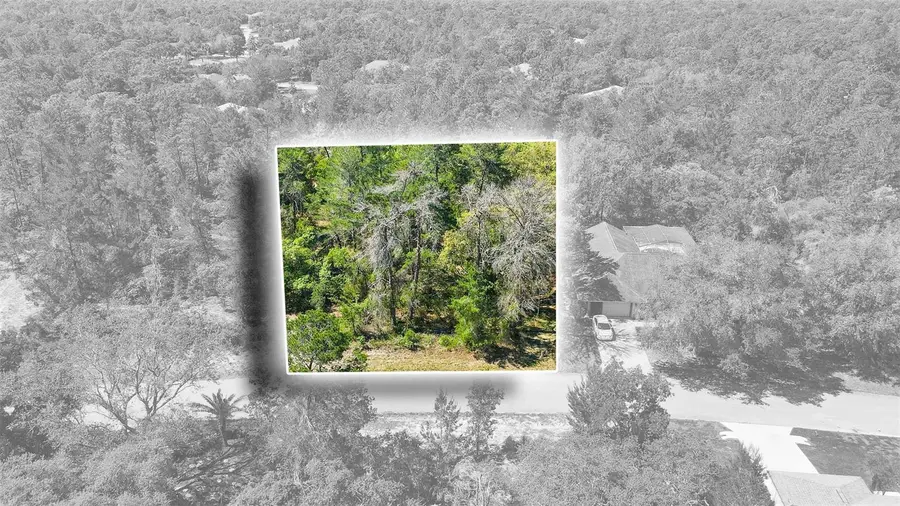 14 Heuchera Court E, Homosassa, FL 34446 - #2