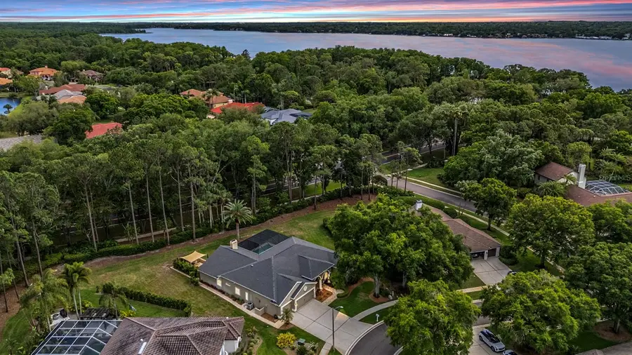 3596 Florian Terrace, Palm Harbor, FL 34685 - #3