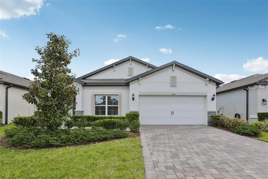 7114 Gulf Cypress Avenue, Land O Lakes, FL 34637 - #2
