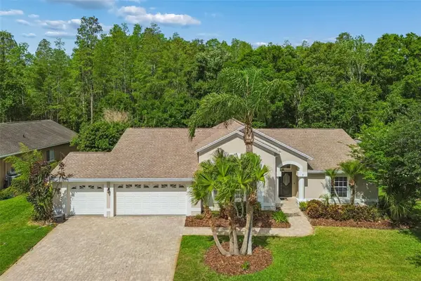 19004 Saint Laurent Drive, LUTZ, FL 33558