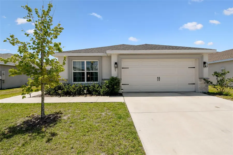 105 Blue Alice Spring Court, Ruskin, FL 33570 - #3