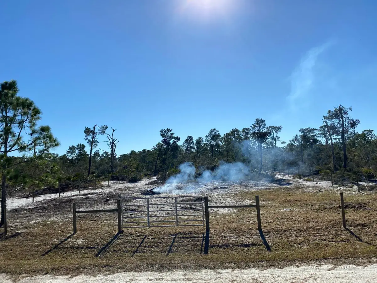 3216 Flatbush Avenue, Lake Placid, FL 33852 - #1