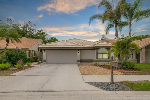 3654 Darston Street, PALM HARBOR, FL 34685
